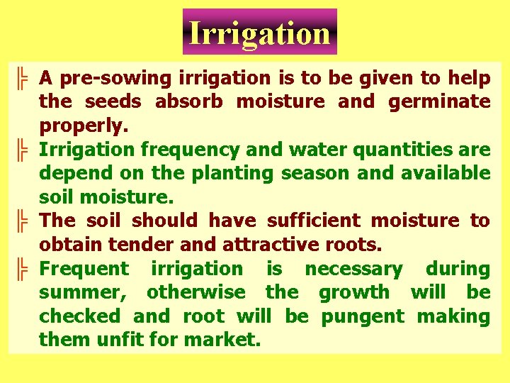 Irrigation ╠ A pre-sowing irrigation is to be given to help the seeds absorb