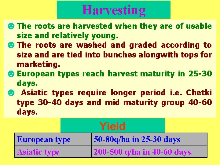 Harvesting ☻The roots are harvested when they are of usable size and relatively young.