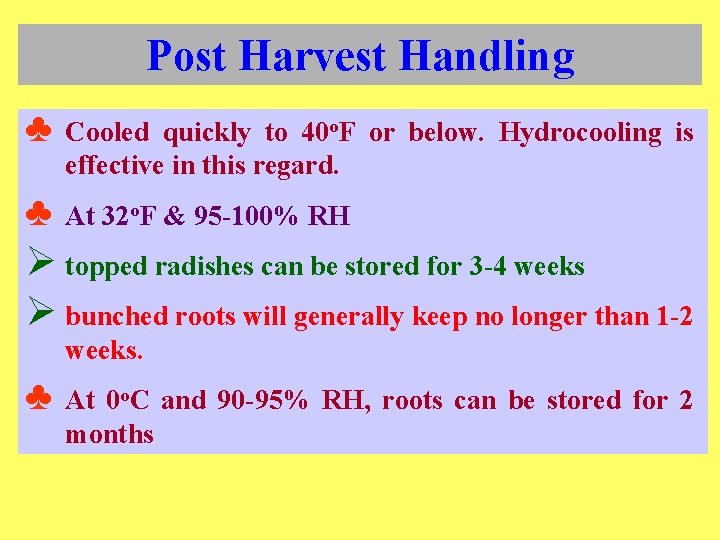 Post Harvest Handling ♣ Cooled quickly to 40 o. F or below. Hydrocooling is
