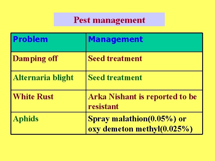 Pest management Problem Management Damping off Seed treatment Alternaria blight Seed treatment White Rust