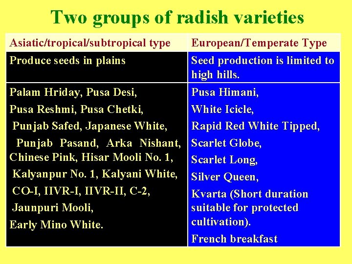 Two groups of radish varieties Asiatic/tropical/subtropical type Produce seeds in plains European/Temperate Type Seed