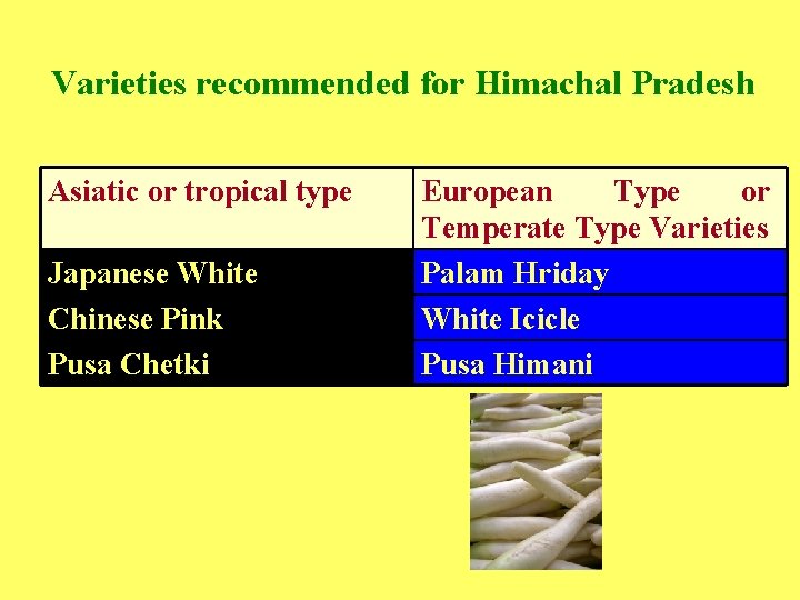 Varieties recommended for Himachal Pradesh Asiatic or tropical type Japanese White Chinese Pink Pusa