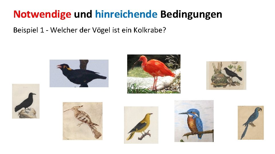 Notwendige und hinreichende Bedingungen Beispiel 1 - Welcher der Vögel ist ein Kolkrabe? 