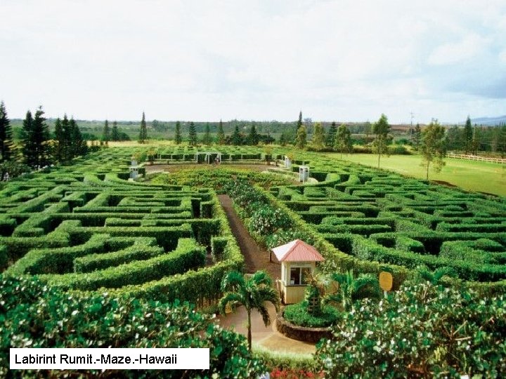 Labirint Rumit. -Maze. -Hawaii 