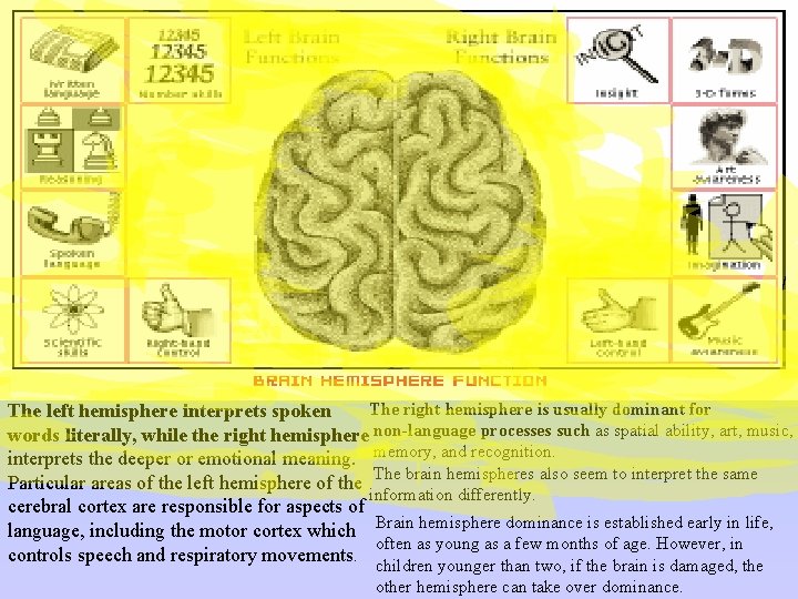 The right hemisphere is usually dominant for The left hemisphere interprets spoken words literally,