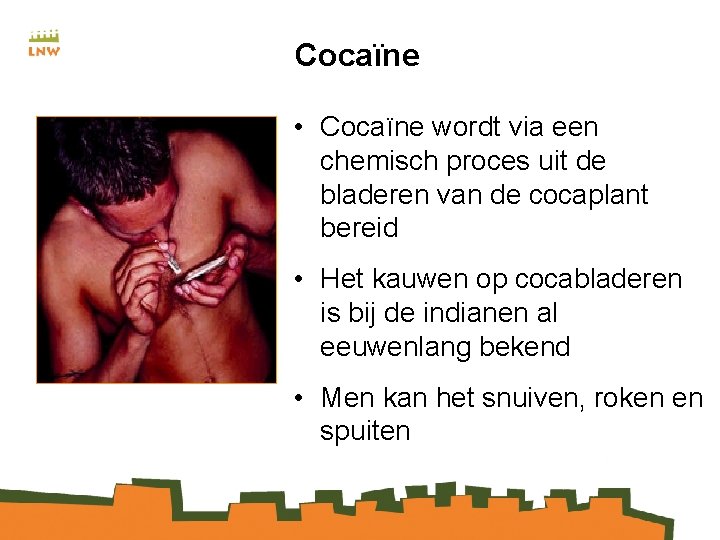 Cocaïne • Cocaïne wordt via een chemisch proces uit de bladeren van de cocaplant