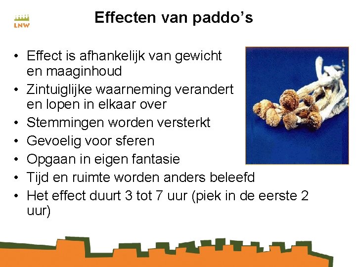 Effecten van paddo’s • Effect is afhankelijk van gewicht en maaginhoud • Zintuiglijke waarneming