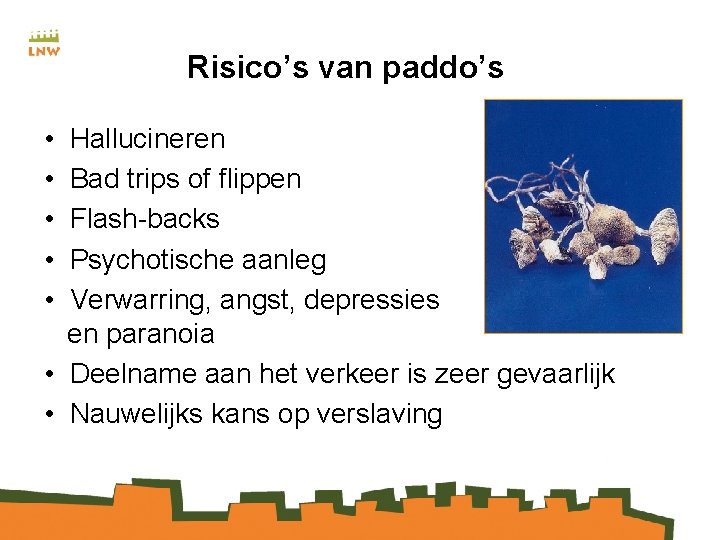 Risico’s van paddo’s • • • Hallucineren Bad trips of flippen Flash-backs Psychotische aanleg