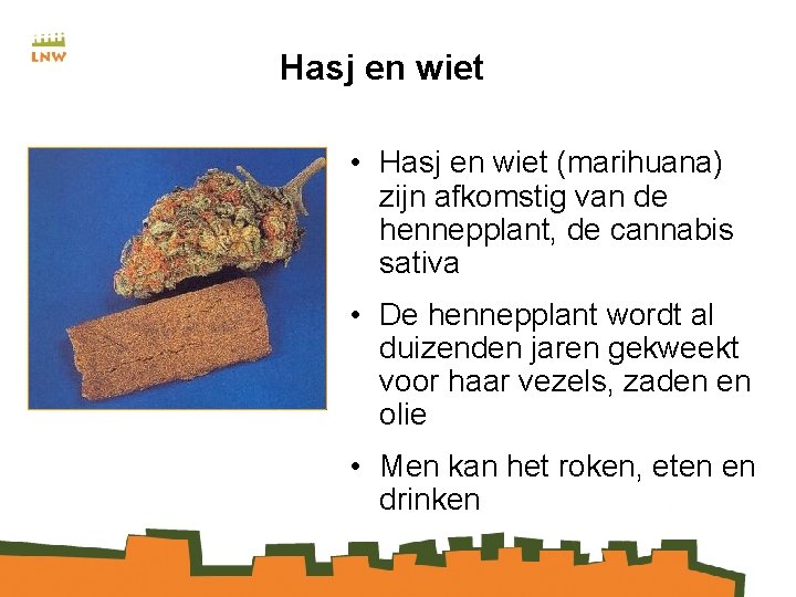 Hasj en wiet • Hasj en wiet (marihuana) zijn afkomstig van de hennepplant, de