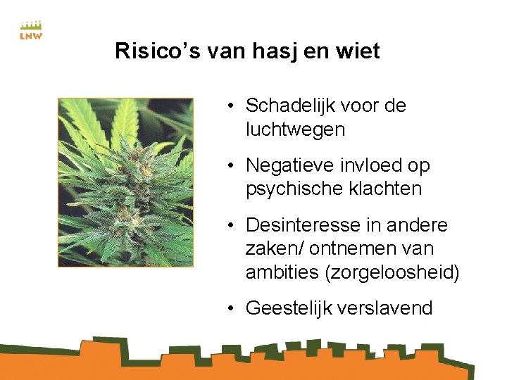 Risico’s van hasj en wiet • Schadelijk voor de luchtwegen • Negatieve invloed op