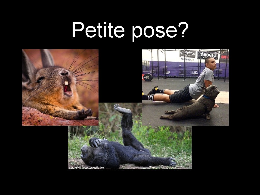 Petite pose? 