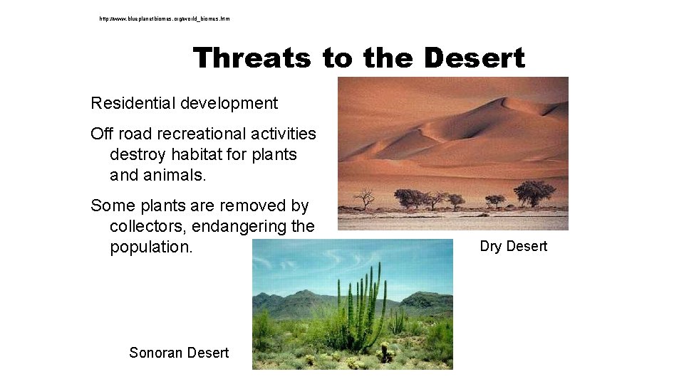 http: //www. blueplanetbiomes. org/world_biomes. htm Threats to the Desert Residential development Off road recreational