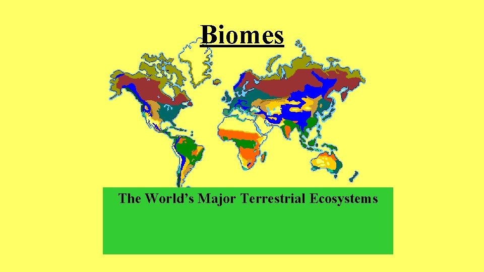 Biomes The World’s Major Terrestrial Ecosystems 
