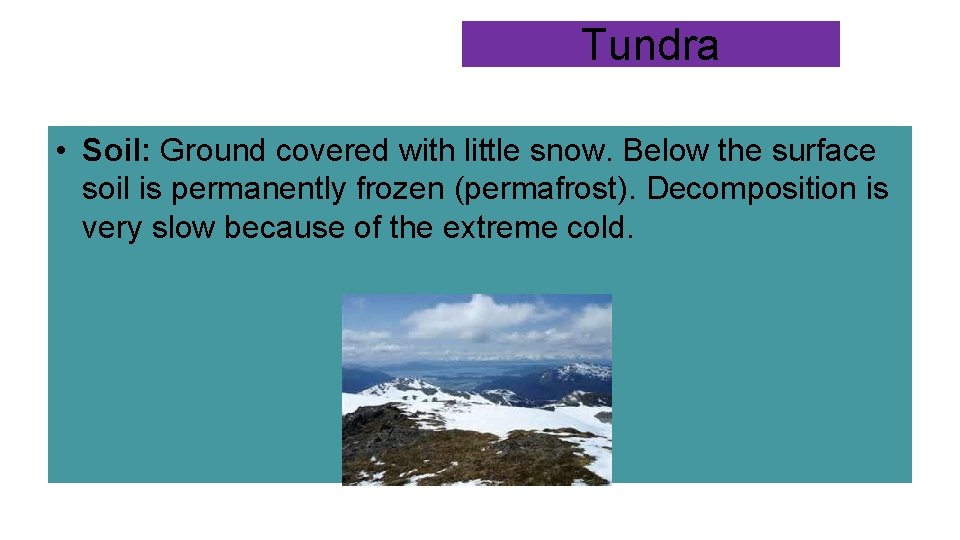 Tundra • Soil: Ground covered with little snow. Below the surface soil is permanently