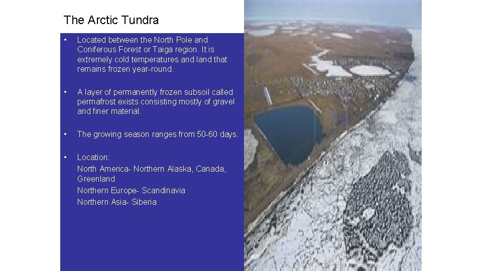 The Arctic Tundra • Located between the North Pole and Coniferous Forest or Taiga