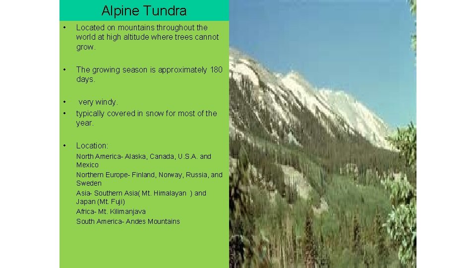 Alpine Tundra • Located on mountains throughout the world at high altitude where trees