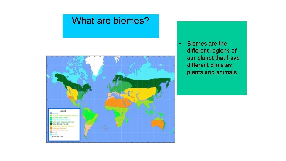 What are biomes? • Biomes are the different regions of our planet that have