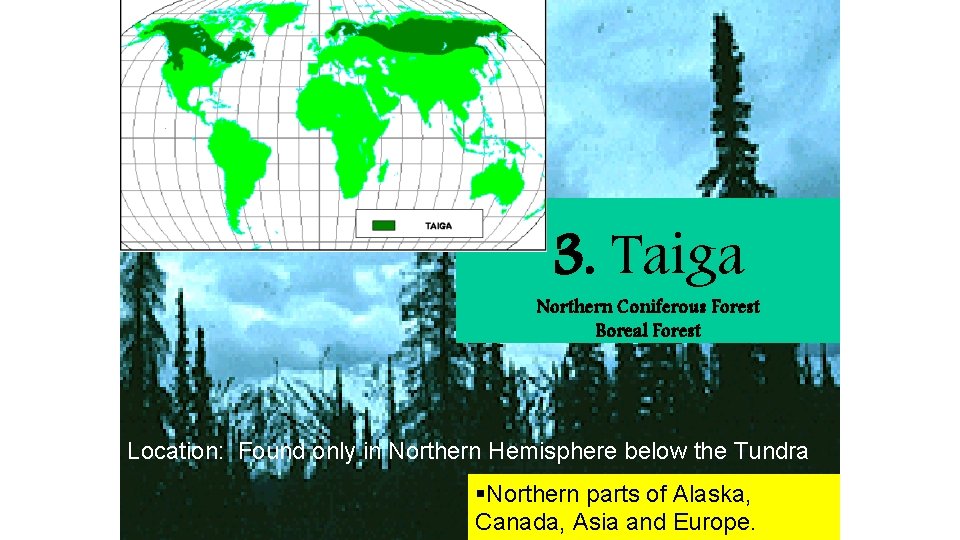3. Taiga Northern Coniferous Forest Boreal Forest Location: Found only in Northern Hemisphere below