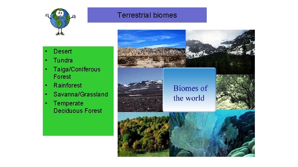 Terrestrial biomes • Desert • Tundra • Taiga/Coniferous Forest • Rainforest • Savanna/Grassland •