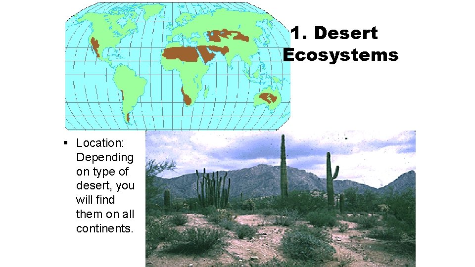 1. Desert Ecosystems § Location: Depending on type of desert, you will find them
