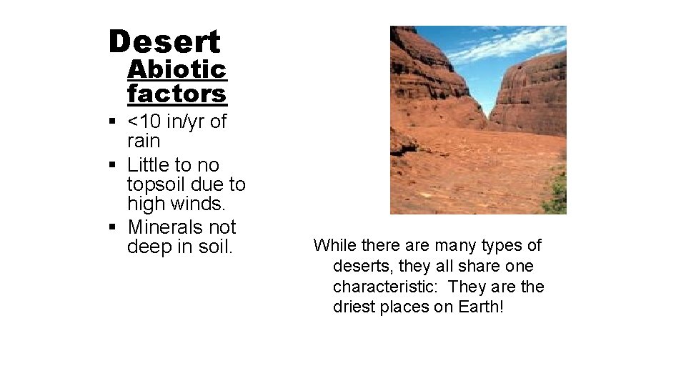Desert Abiotic factors § <10 in/yr of rain § Little to no topsoil due