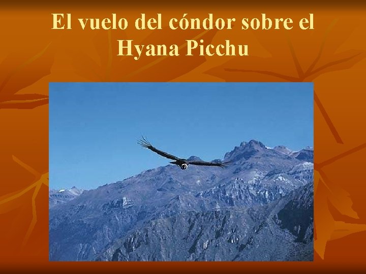 El vuelo del cóndor sobre el Hyana Picchu 