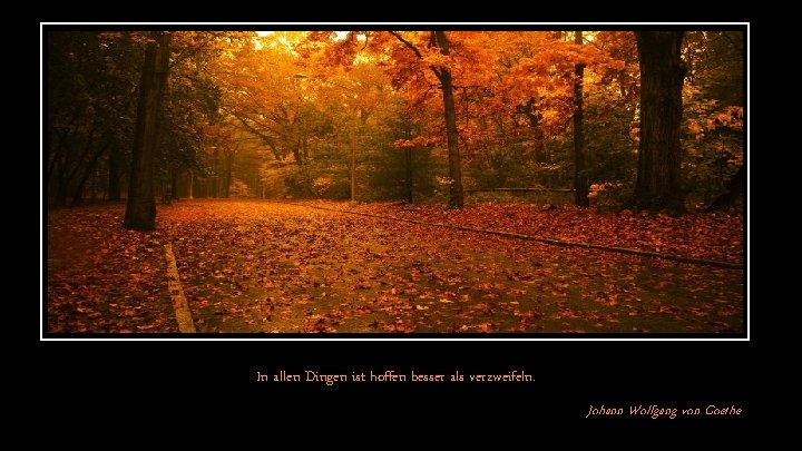 In allen Dingen ist hoffen besser als verzweifeln. Johann Wolfgang von Goethe 