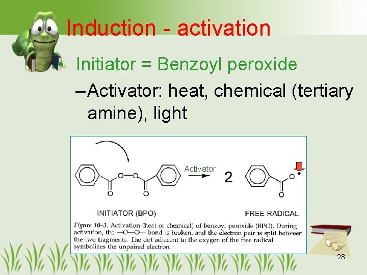 Induction - activation • Initiator = Benzoyl peroxide – Activator: heat, chemical (tertiary amine),