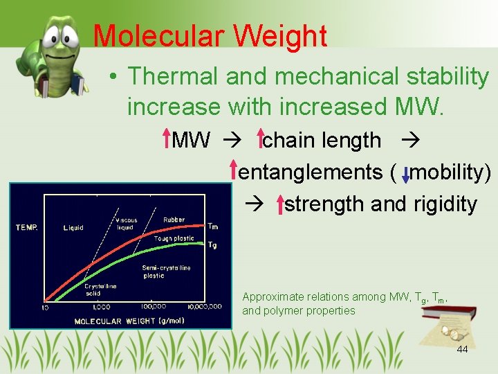 Molecular Weight • Thermal and mechanical stability increase with increased MW. MW chain length