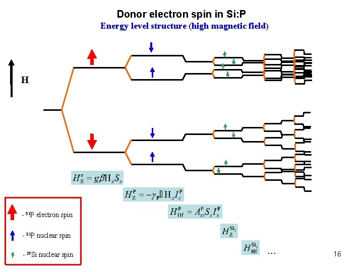 Donor electron spin in Si: P Energy level structure (high magnetic field) H -