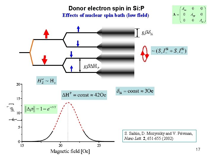 Donor electron spin in Si: P Effects of nuclear spin bath (low field) S.