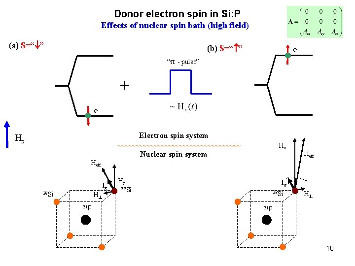 Donor electron spin in Si: P Effects of nuclear spin bath (high field) (a)