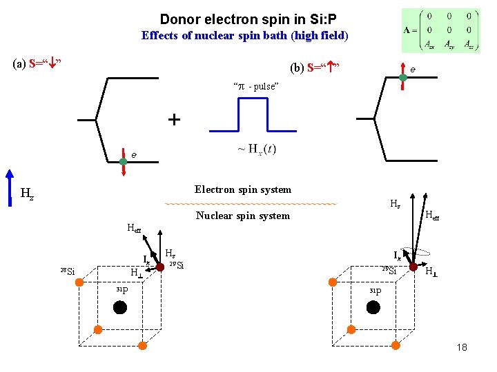 Donor electron spin in Si: P Effects of nuclear spin bath (high field) (a) Donor electron spin in Si: P Effects of nuclear spin bath (high field) (a)