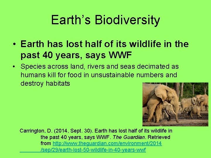 Earth’s Biodiversity • Earth has lost half of its wildlife in the past 40