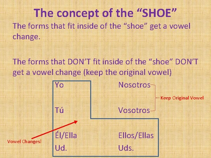 The concept of the “SHOE” The forms that fit inside of the “shoe” get