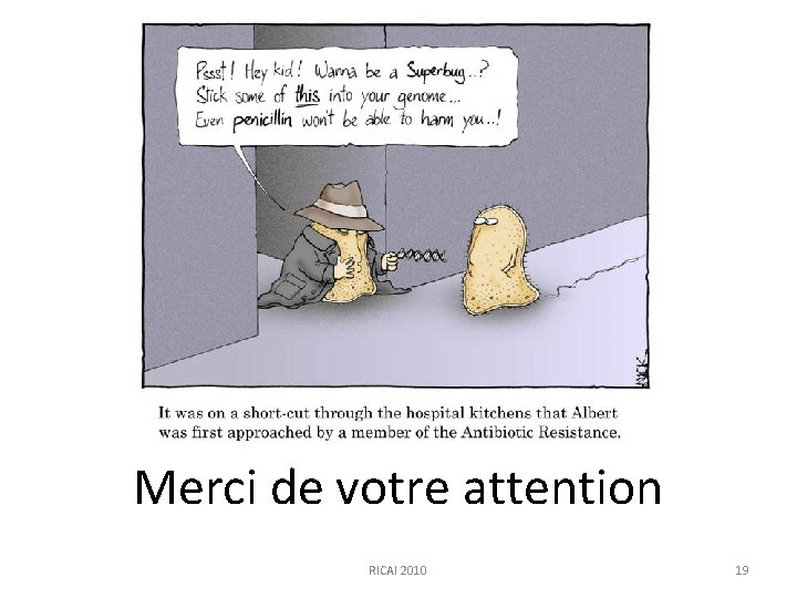 Merci de votre attention RICAI 2010 19 