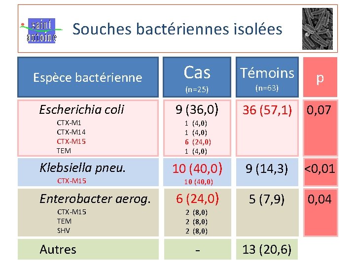 Souches bactériennes isolées Espèce bactérienne Escherichia coli CTX-M 14 CTX-M 15 TEM Klebsiella pneu.