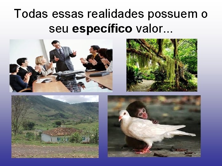 Todas essas realidades possuem o seu específico valor. . . 