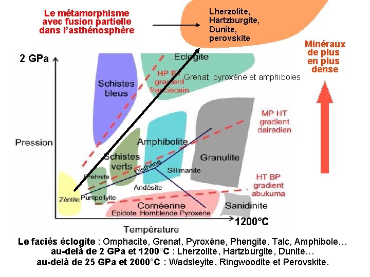 Le métamorphisme avec fusion partielle dans l’asthénosphère Lherzolite, Hartzburgite, Dunite, perovskite 2 GPa Grenat,