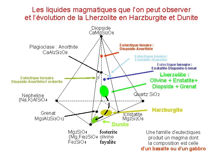 Les liquides magmatiques que l’on peut observer et l’évolution de la Lherzolite en Harzburgite