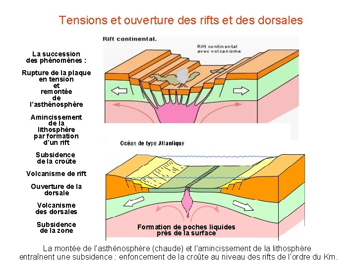 Tensions et ouverture des rifts et des dorsales La succession des phénomènes : Rupture