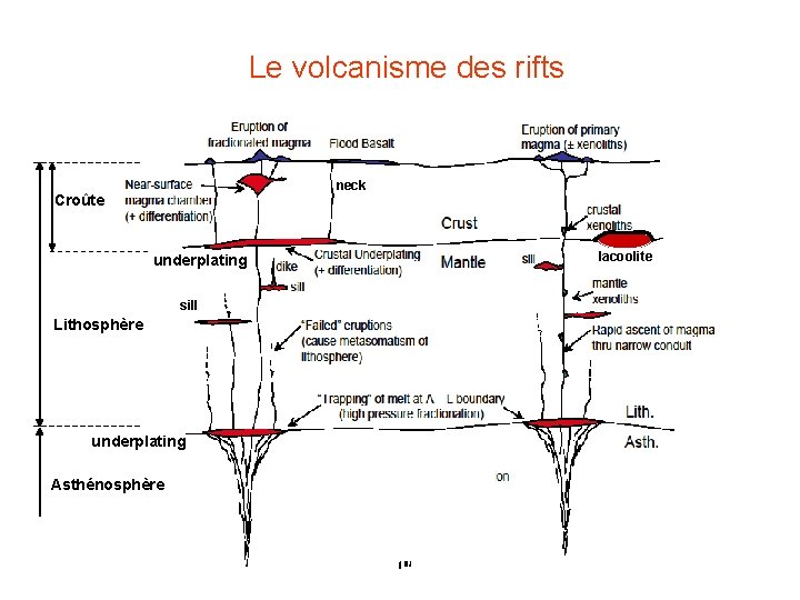  Le volcanisme des rifts neck Croûte underplating sill Lithosphère underplating Asthénosphère lacoolite 