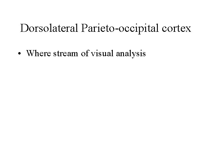 Dorsolateral Parieto-occipital cortex • Where stream of visual analysis 