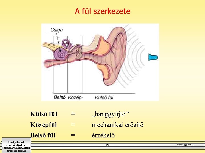 A fül szerkezete Honfy József egyetemi adjunktus SZÉCHENYI I. EGYETEM Távközlési Tanszék Külső fül