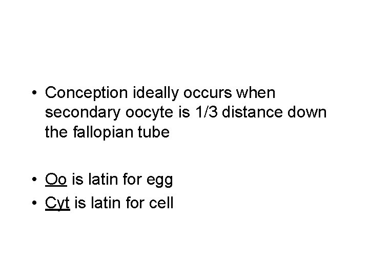  • Conception ideally occurs when secondary oocyte is 1/3 distance down the fallopian