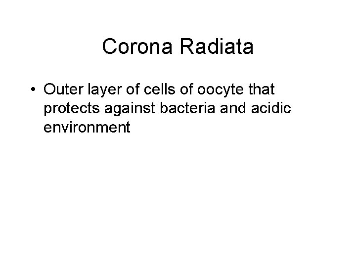 Corona Radiata • Outer layer of cells of oocyte that protects against bacteria and