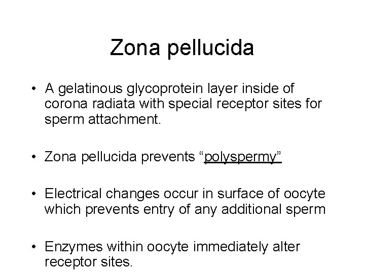 Zona pellucida • A gelatinous glycoprotein layer inside of corona radiata with special receptor