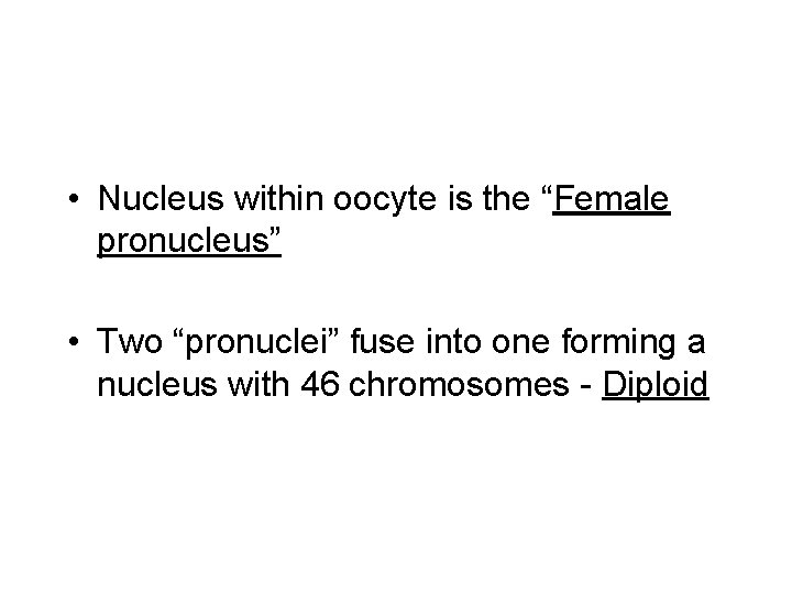  • Nucleus within oocyte is the “Female pronucleus” • Two “pronuclei” fuse into