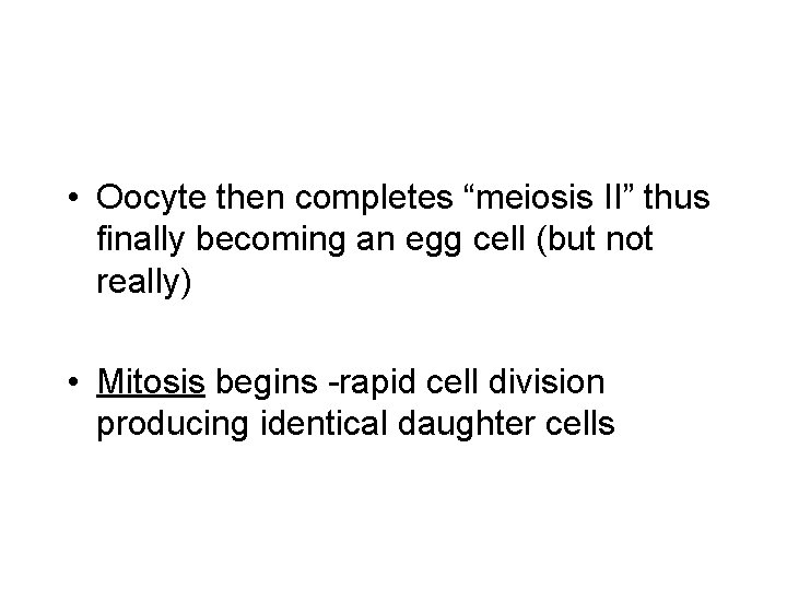  • Oocyte then completes “meiosis II” thus finally becoming an egg cell (but