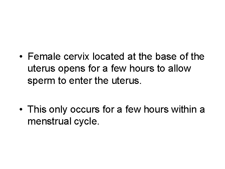  • Female cervix located at the base of the uterus opens for a